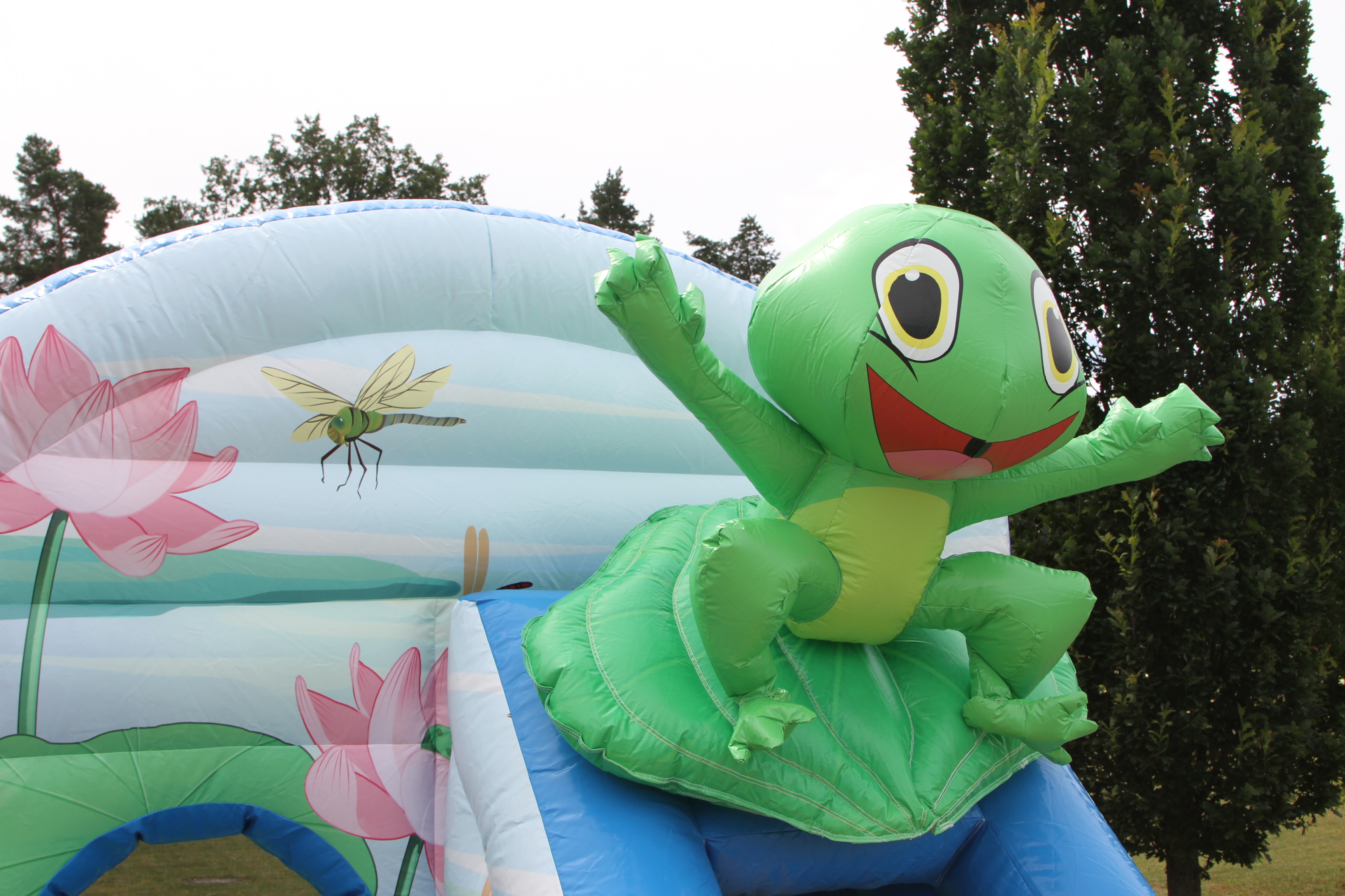 Springkussen kikker - 3,9x2,8 m 