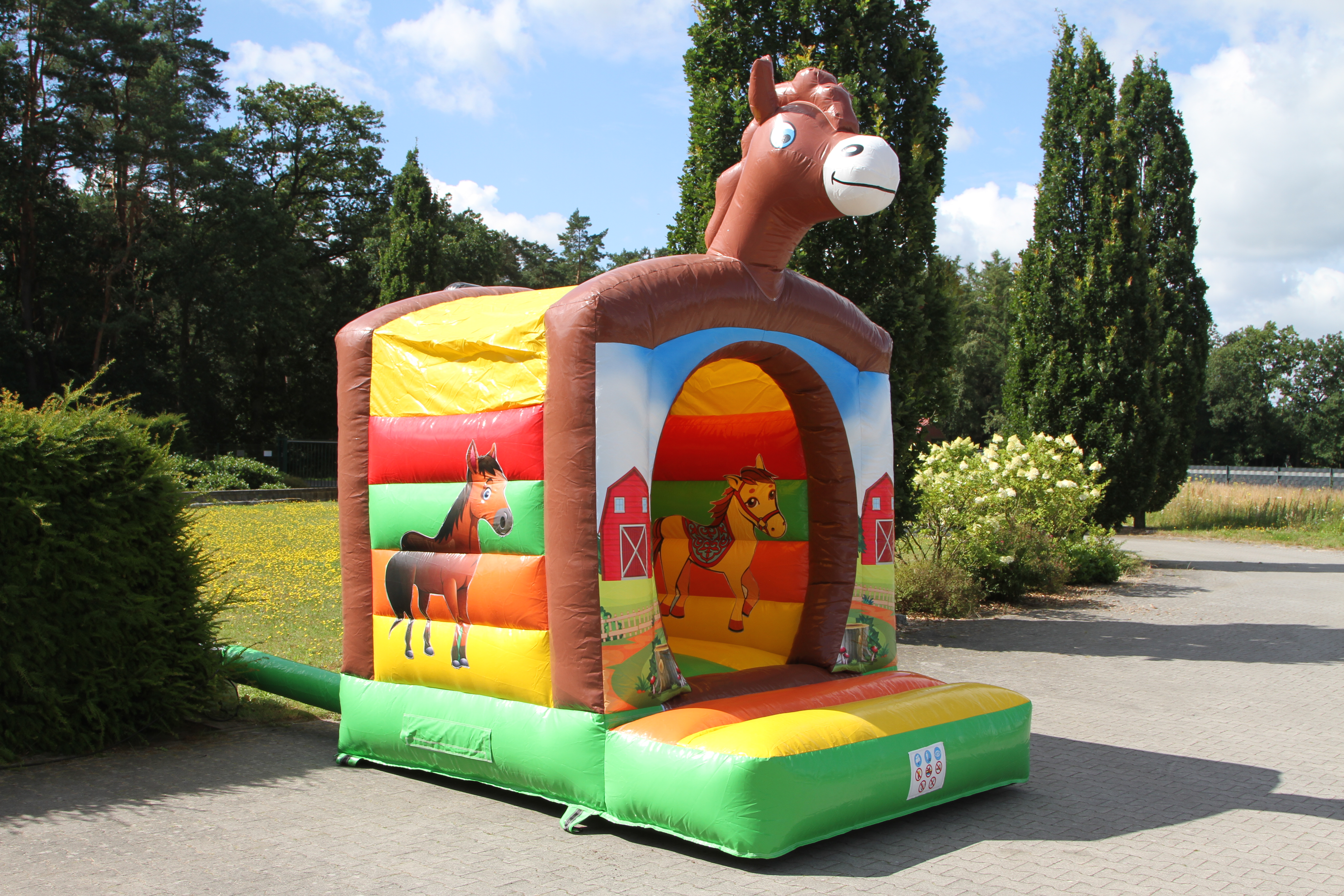 Springkussen mini pony - 3,1x2,3 m