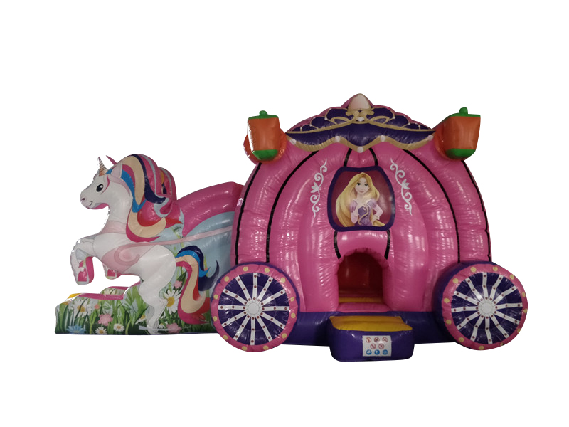 Eenhoorn prinses koets