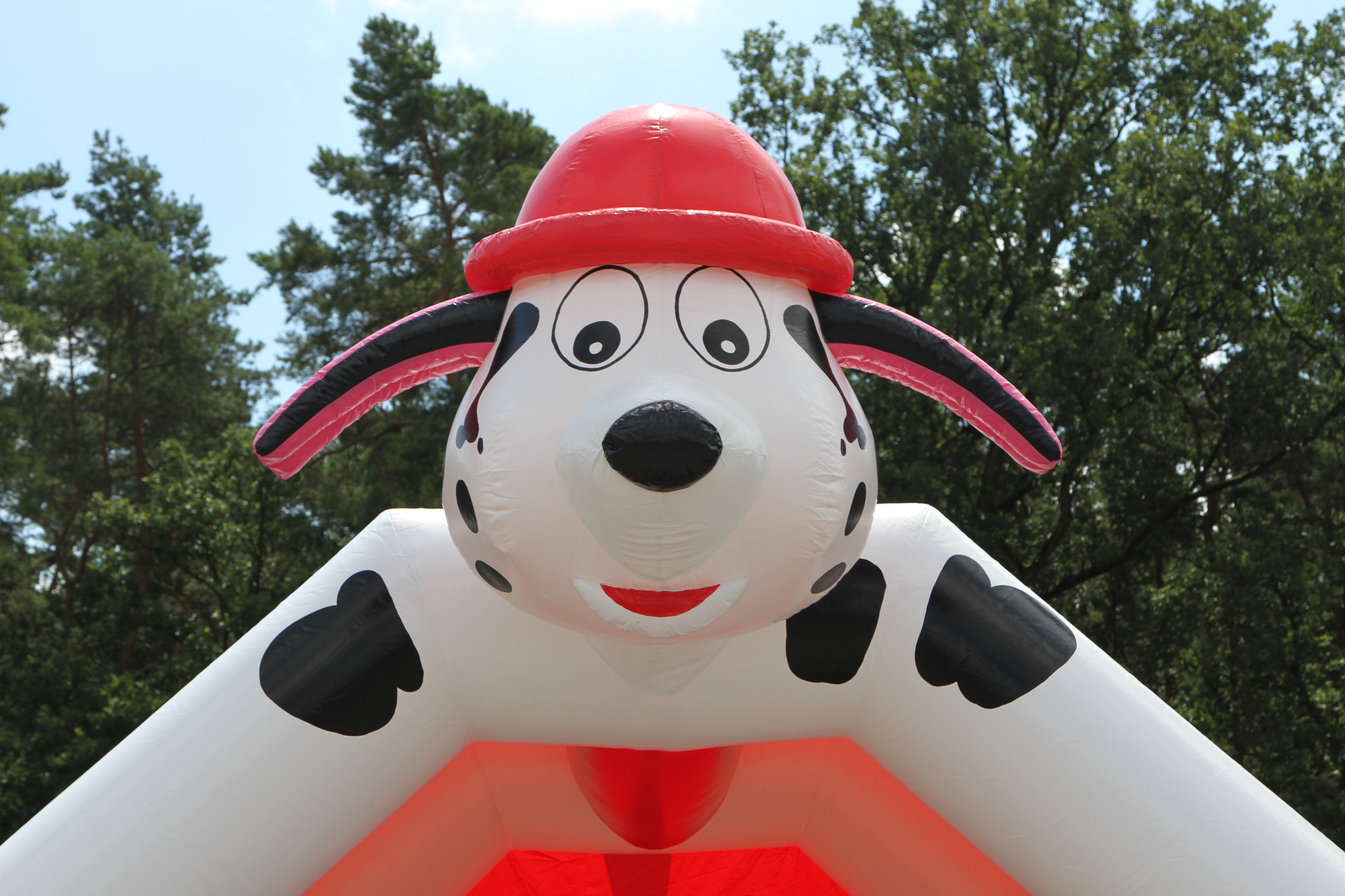 Springkussen 4,5x4 m - delmatier 