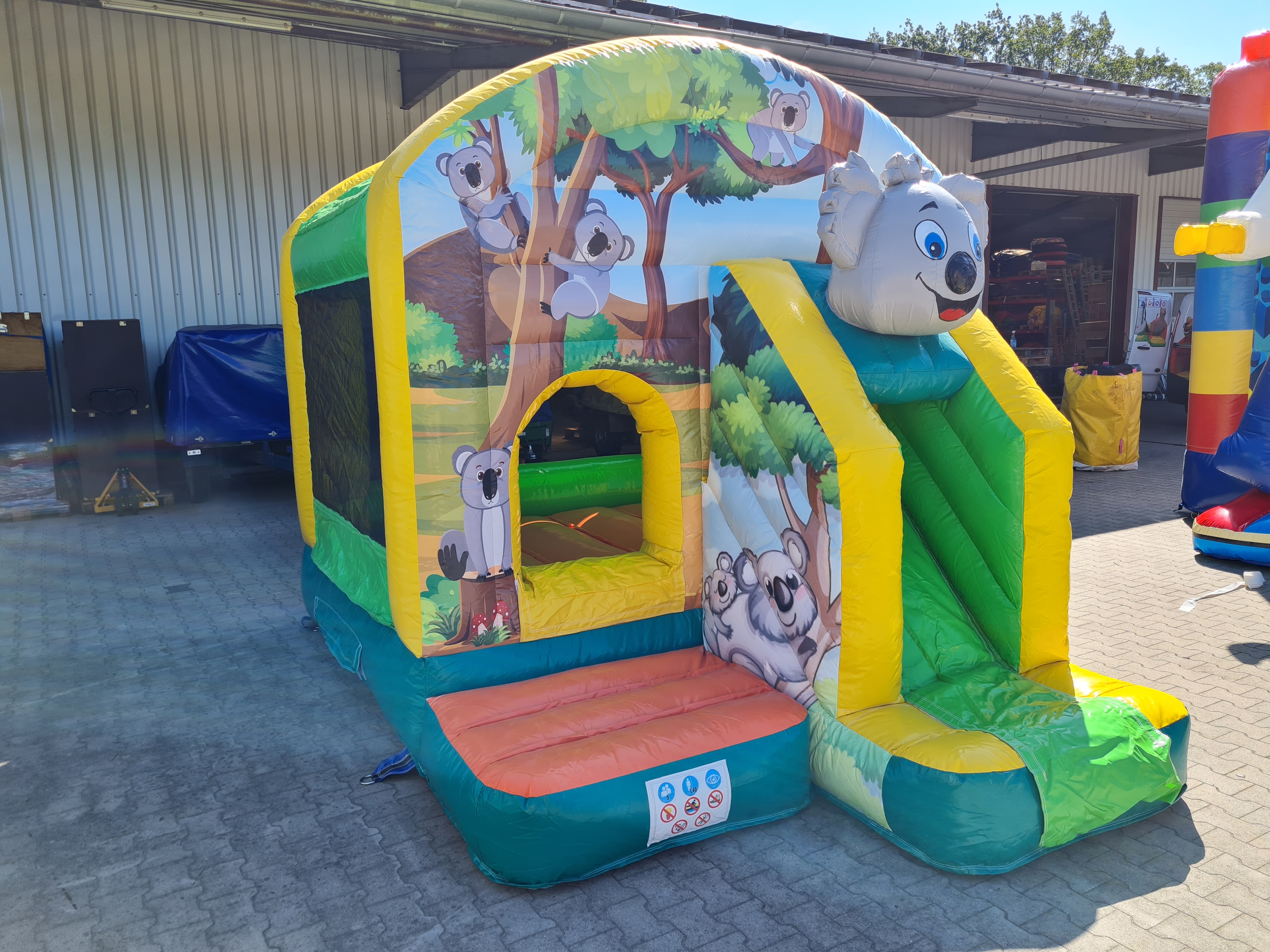 Springkussen koala - 3,9x2,8 m 