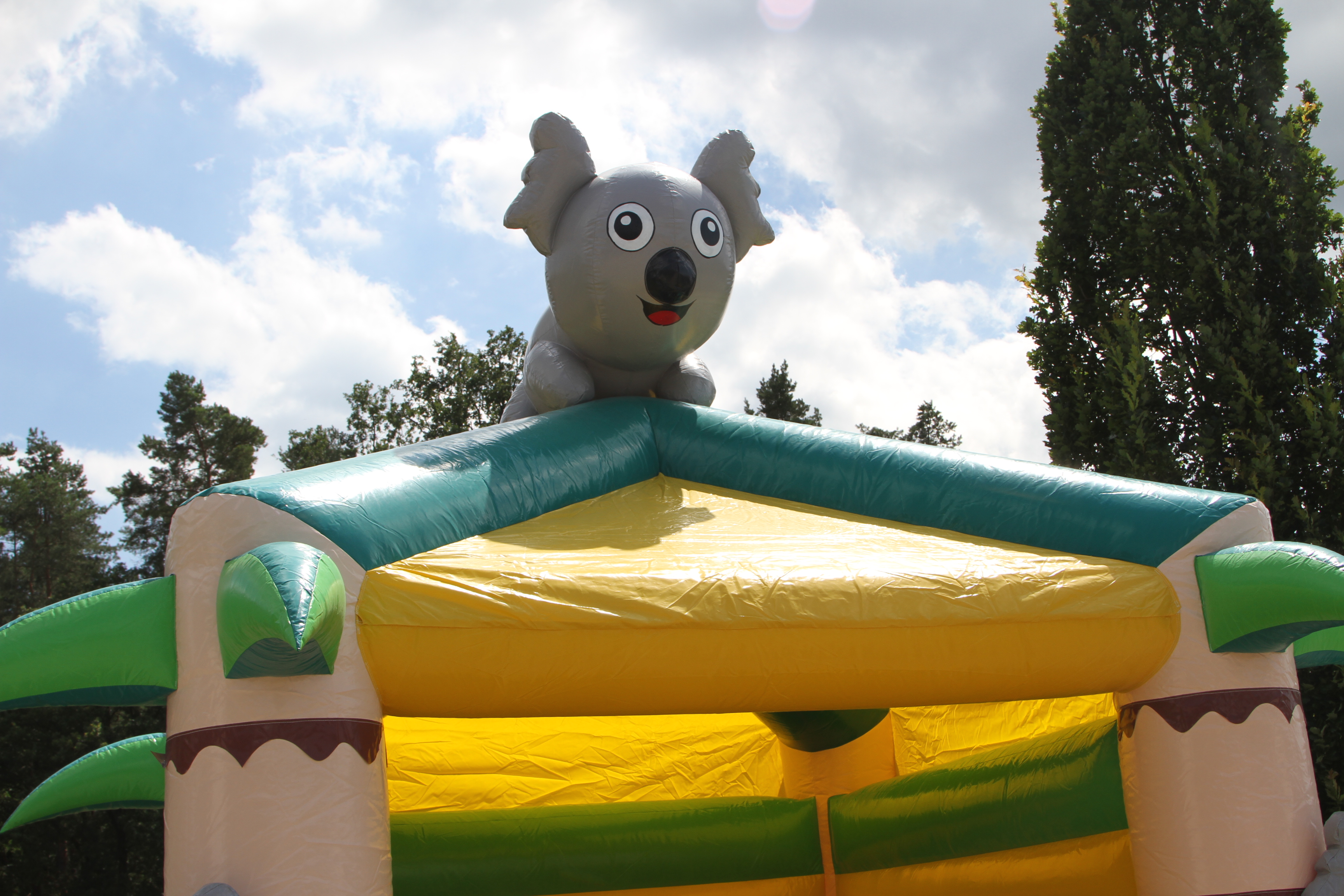 Springkussen Koala met dak - 5x4m 